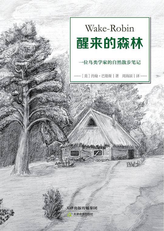 亲近自然：醒来的森林