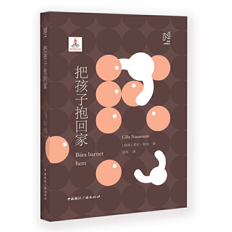 北欧文学译丛:把孩子抱回家