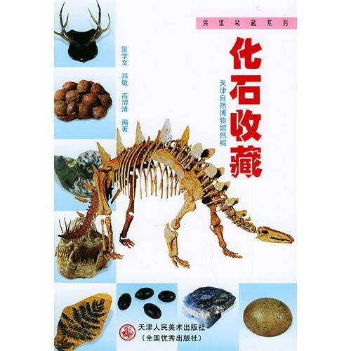 化石收藏