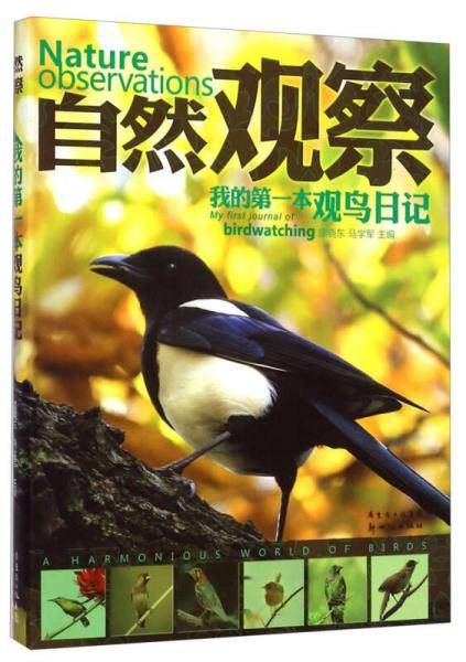 自然观察：我的第一本观鸟日记