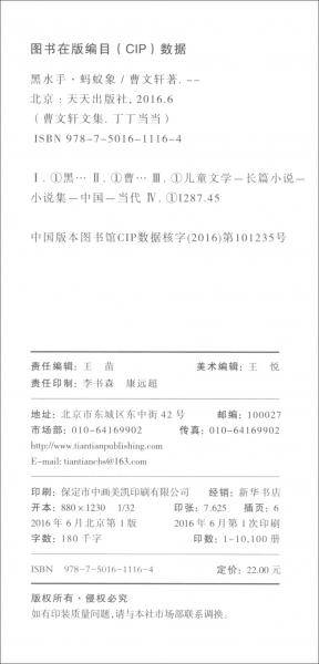 丁丁当当（3黑水手蚂蚁象）/曹文轩文集