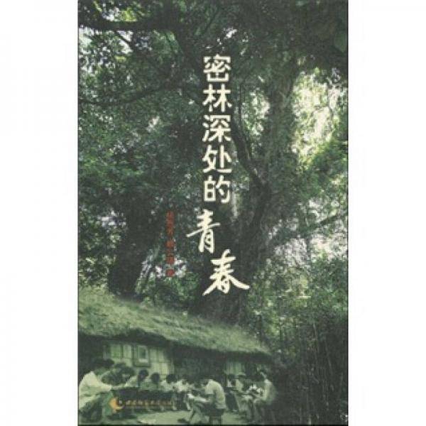 密林深处的青春