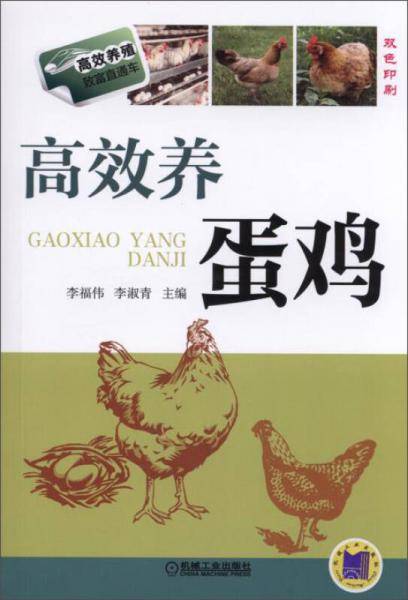 高效养蛋鸡