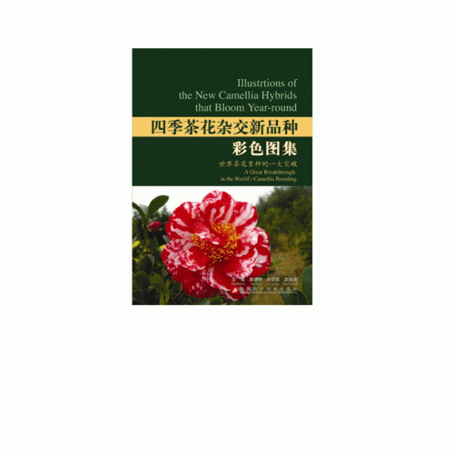 四季茶花杂交新品种彩色图集