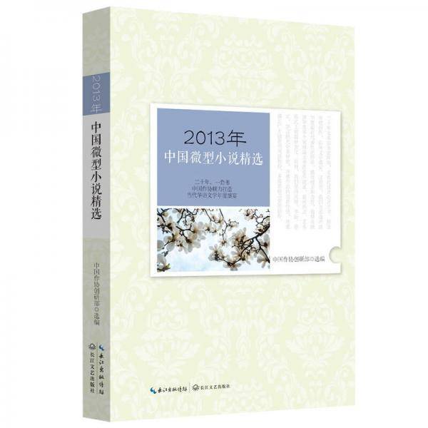 2013年中国微型小说精选