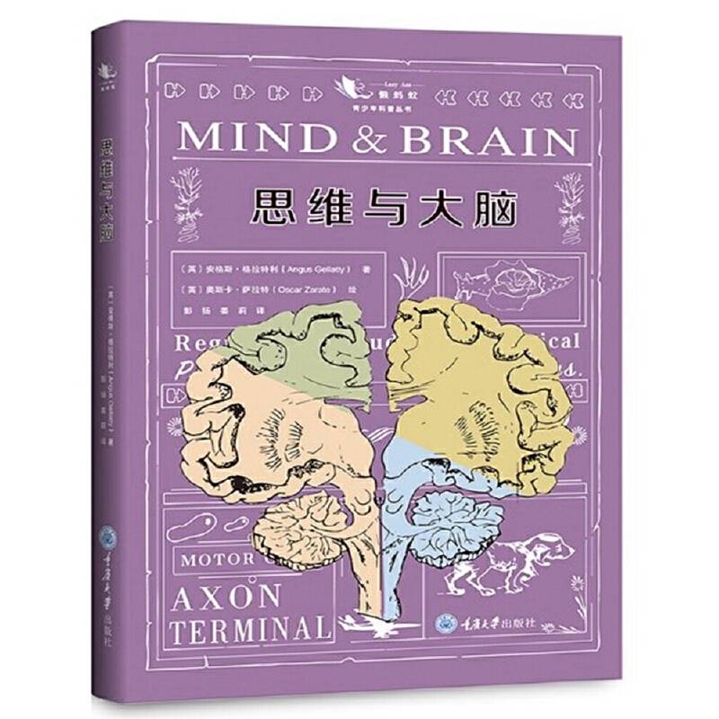 思维与大脑