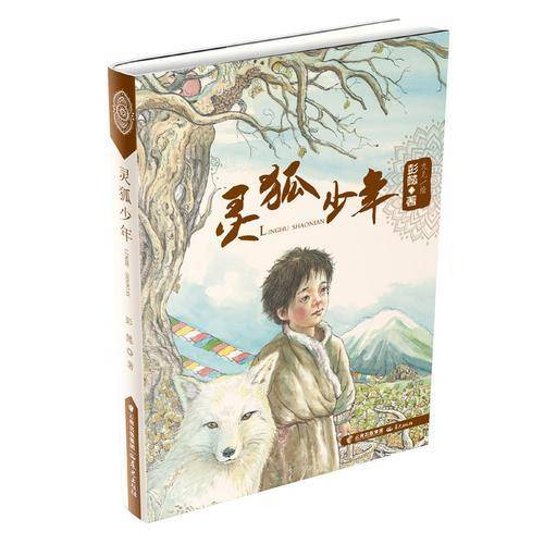 灵狐少年