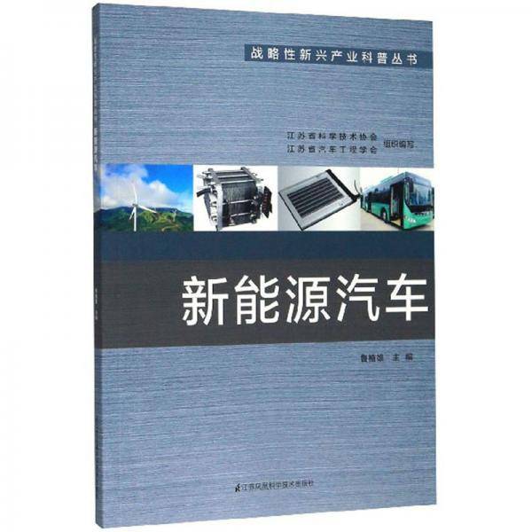 新能源汽车/战略性新兴产业科普丛书
