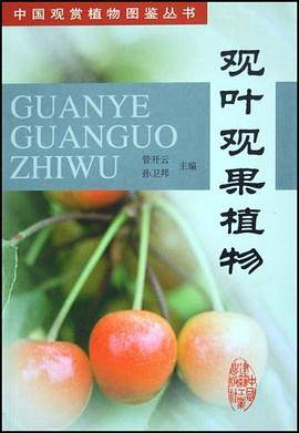 观叶观果植物