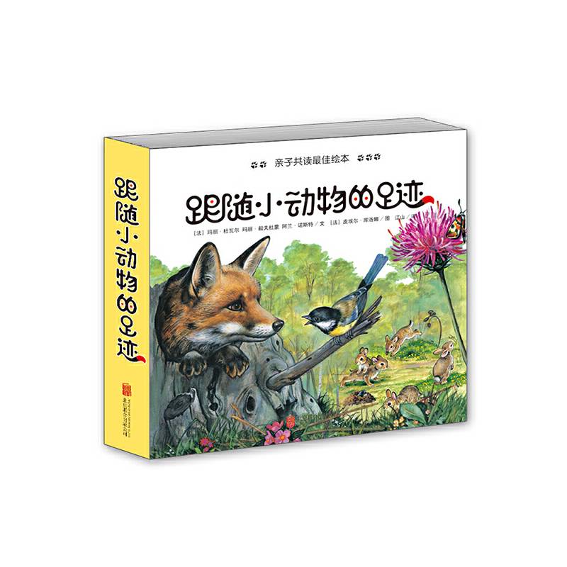 跟随小动物的足迹