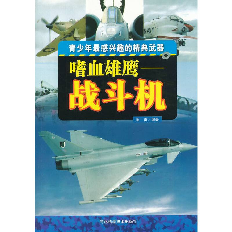 中小学生阅读系列之 青少年最感兴趣的精典武器――嗜血雄鹰战斗机