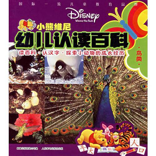 鸟类-小熊维尼幼儿认读百科