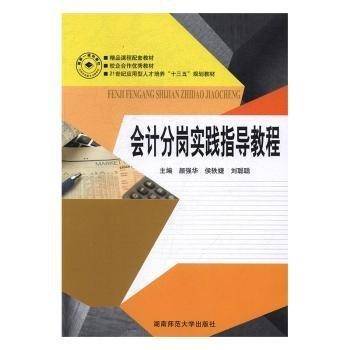 会计分岗实践指导教程