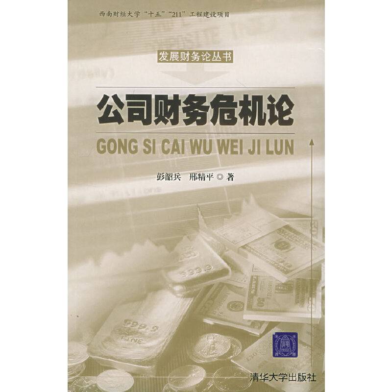 公司财务危机论