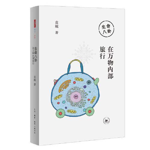 生命八卦：在万物内部旅行