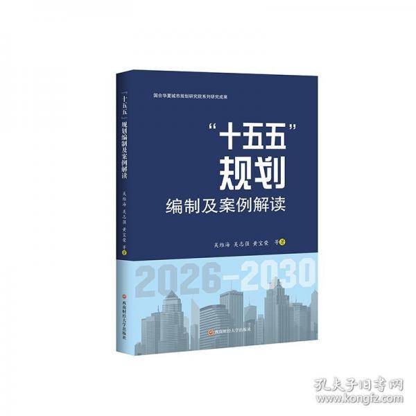 “十五五”规划编制及案例解读