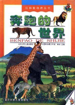 奔跑的世界