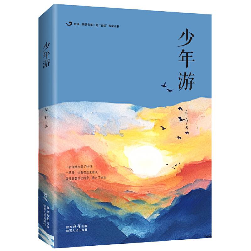 后浪 · 陕西省第二期“百优”作家丛书：少年游