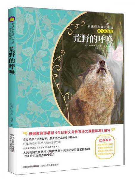 荒野的呼唤 （青少彩绘版 新课标名著小书坊）