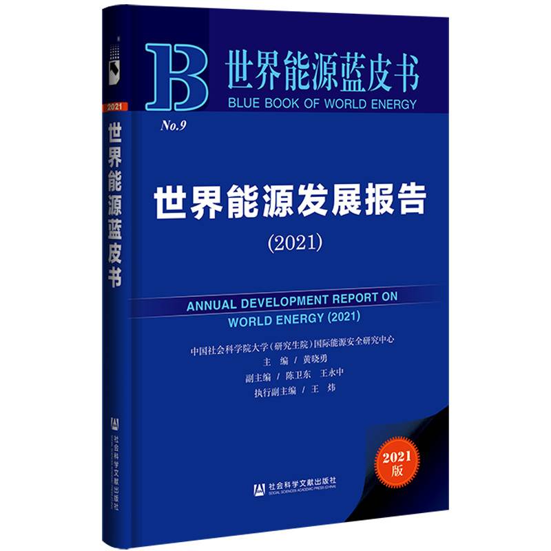 世界能源蓝皮书：世界能源发展报告（2021）