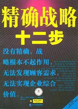 精确战略十二步