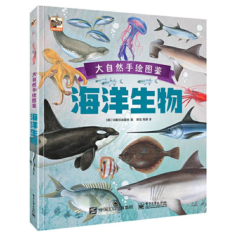 大自然手绘图鉴 海洋生物
