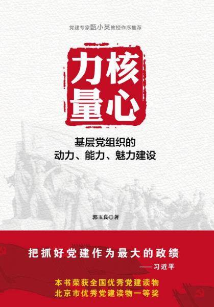 核心力量：基层党组织的动力、能力、魅力建设