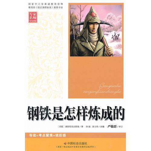 钢铁是怎样炼成的