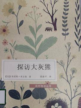 探访大灰熊
