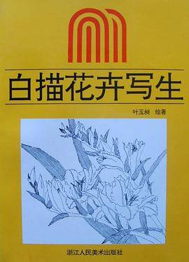 白描花卉写生