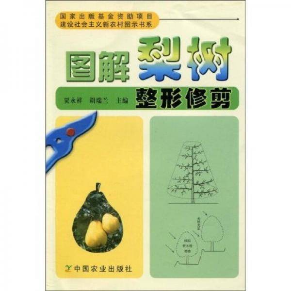 图解梨树整形修剪