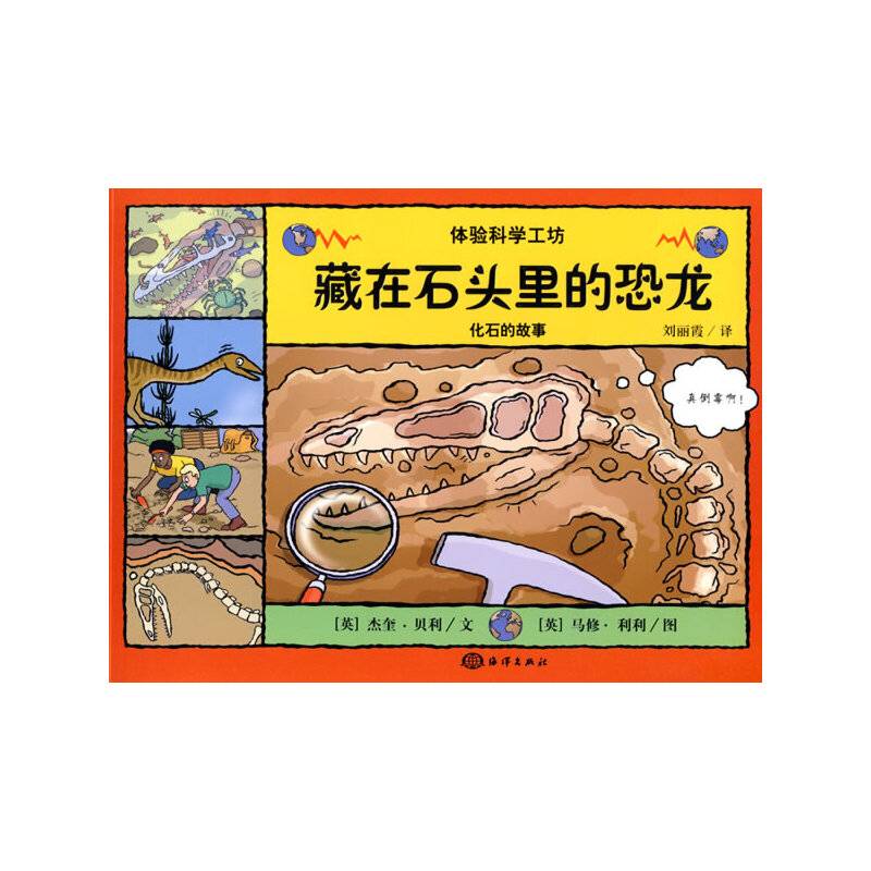 藏在石头里的恐龙