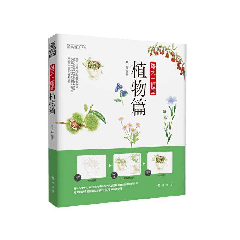 每天一幅画-植物篇