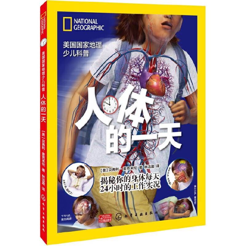 人体的一天