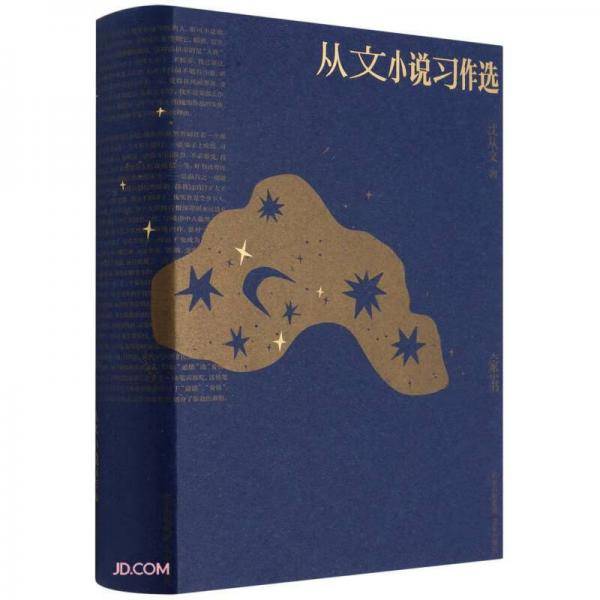 从文小说习作选(精)/大家小书