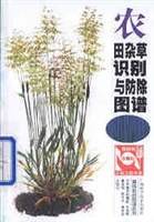 农田杂草识别与防除图谱