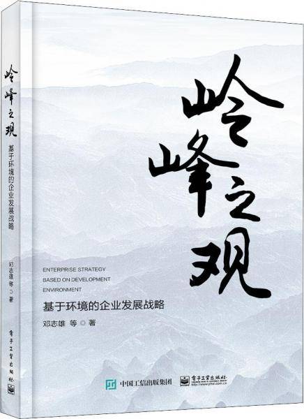 岭峰之观 基于环境的企业发展战略