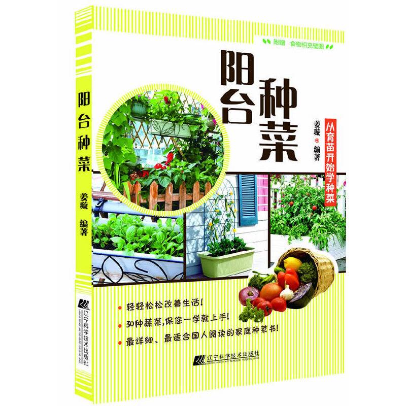 阳台种菜