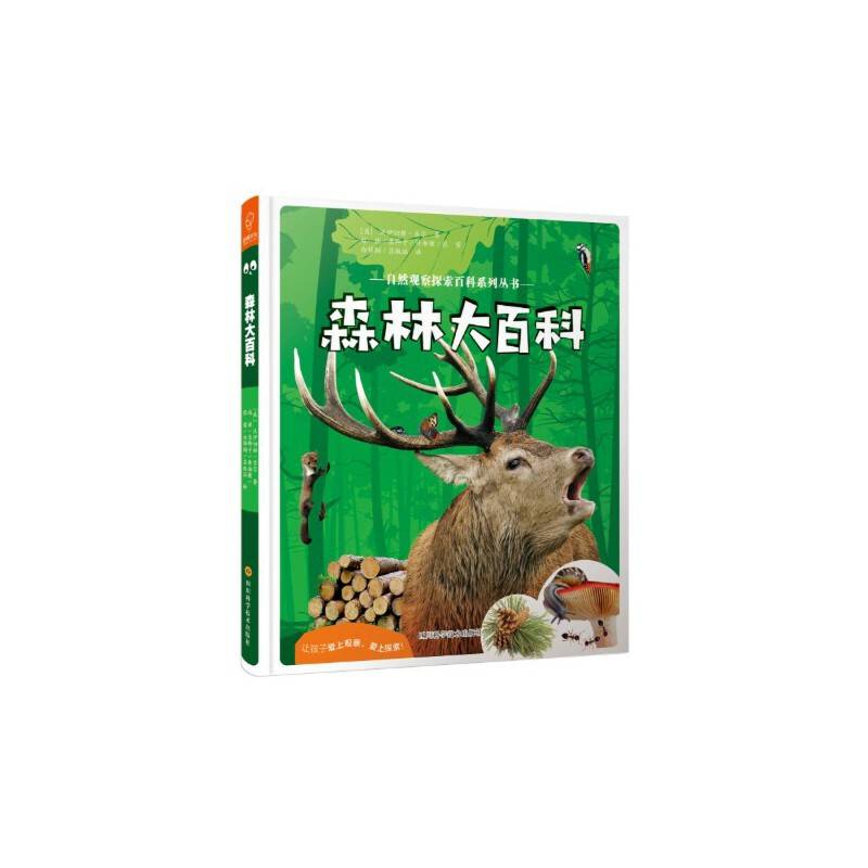 森林大百科——自然观察探索百科系列丛书