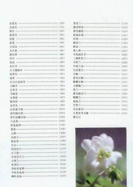 世界名花博览