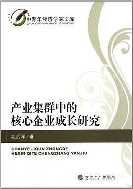 产业集群中的核心企业成长研究