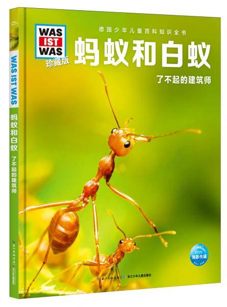 什么是什么·珍藏版（第4辑）：蚂蚁和白蚁