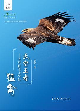天空王者