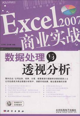 Excel2007商业实战数据处理与透视分析