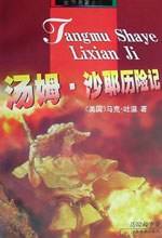 汤姆沙耶历险记