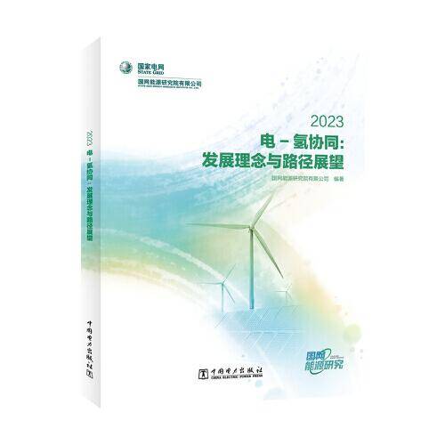 电-氢协同：发展理念与路径展望 2023