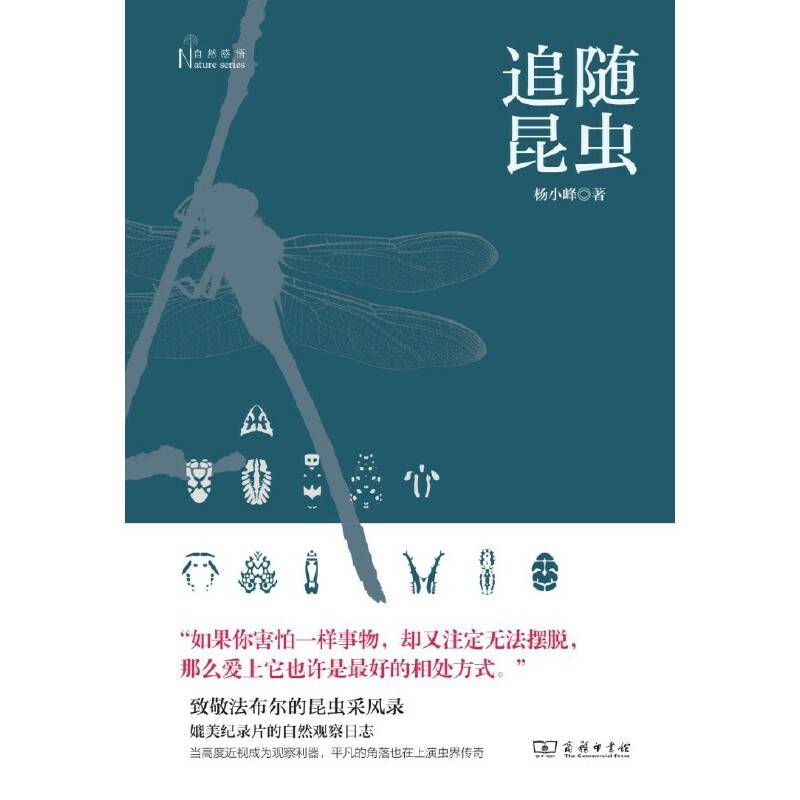 追随昆虫