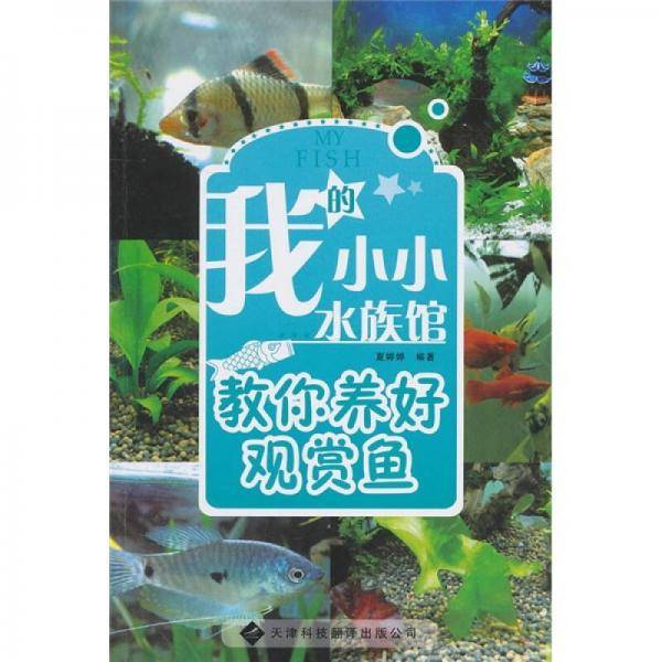 我的小小水族馆
