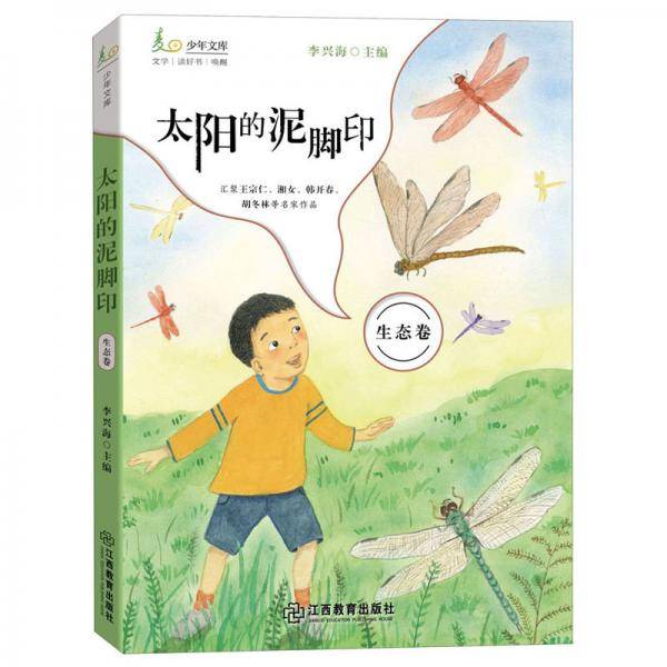太阳的泥脚印麦田少年文库