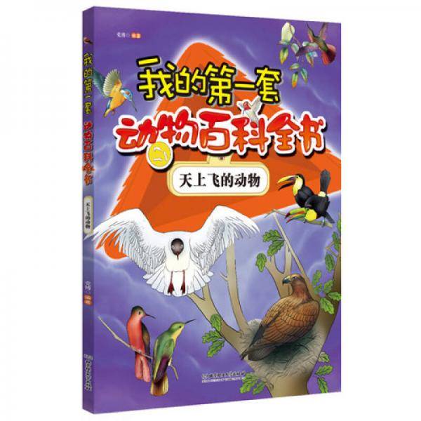 我的第一套动物百科全书 天上飞的动物
